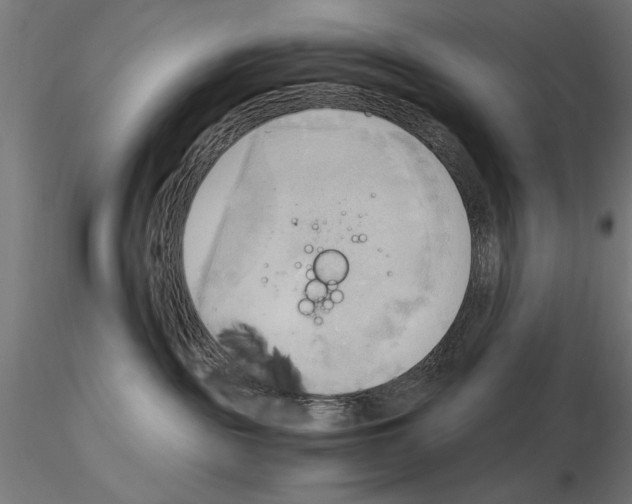 X0000115100189200912081307