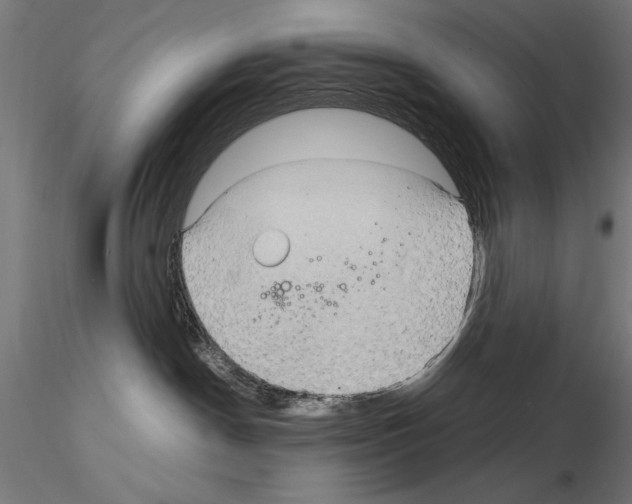 X0000115100190200912081307