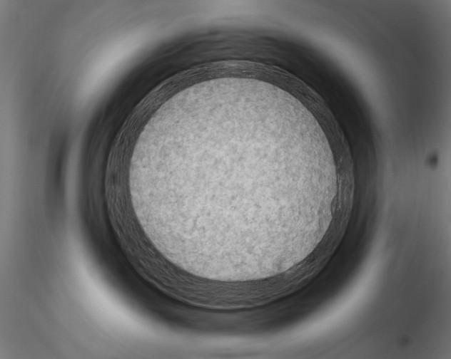 X0000115100191200912081307