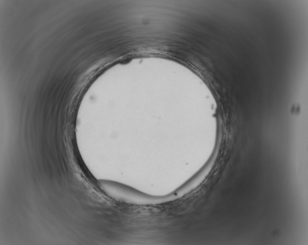 X0000115100193200912081306