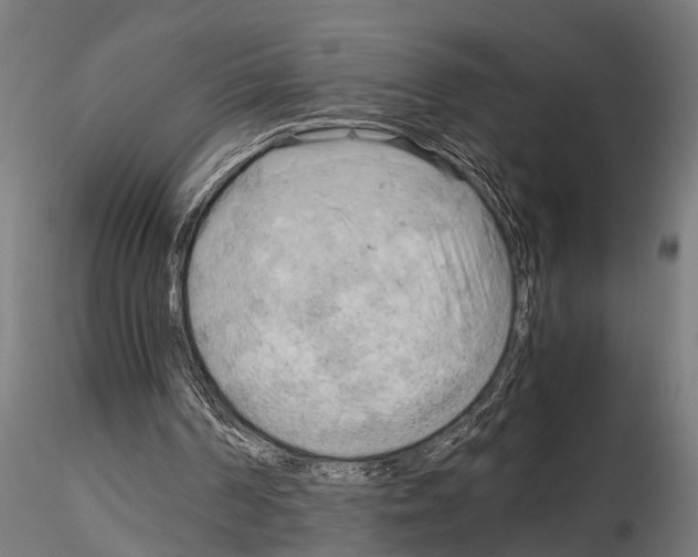 X0000115100194200912081306