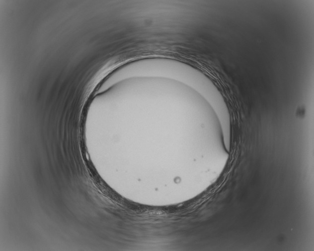 X0000115100195200912081306