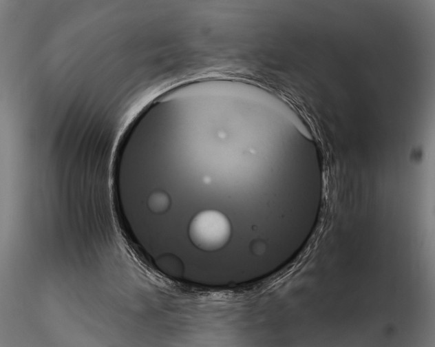 X0000115100196200912081306