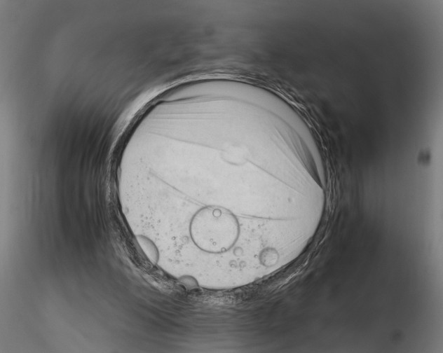 X0000115100200200912081306