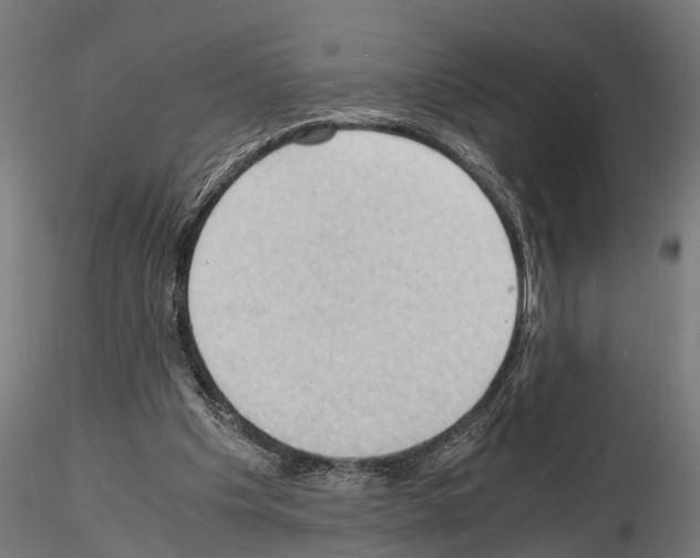 X0000115100201200912081306