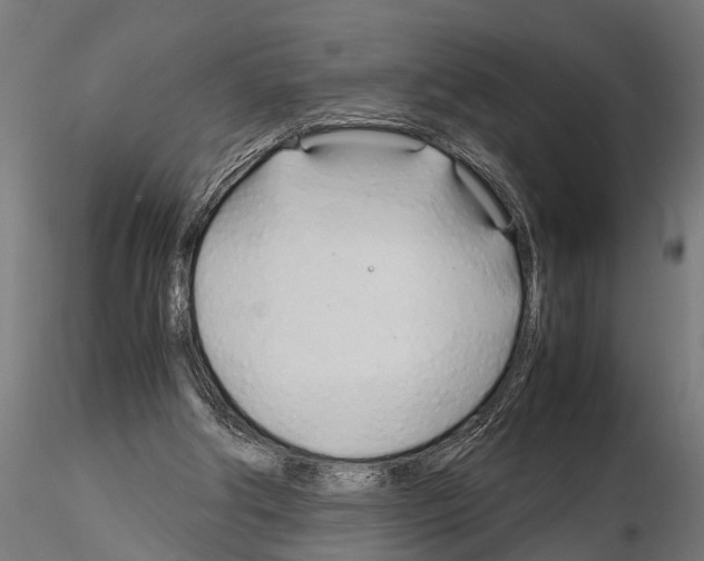 X0000115100202200912081306