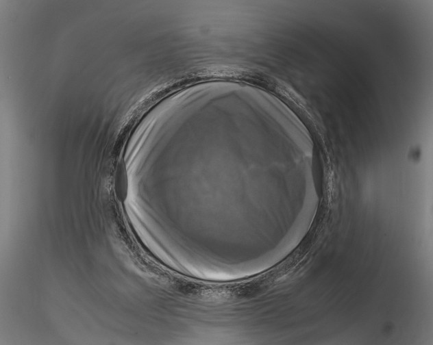 X0000115100203200912081306