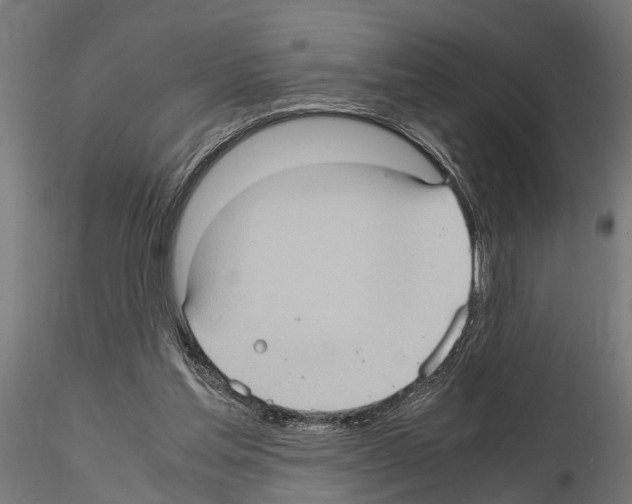 X0000115100205200912081306