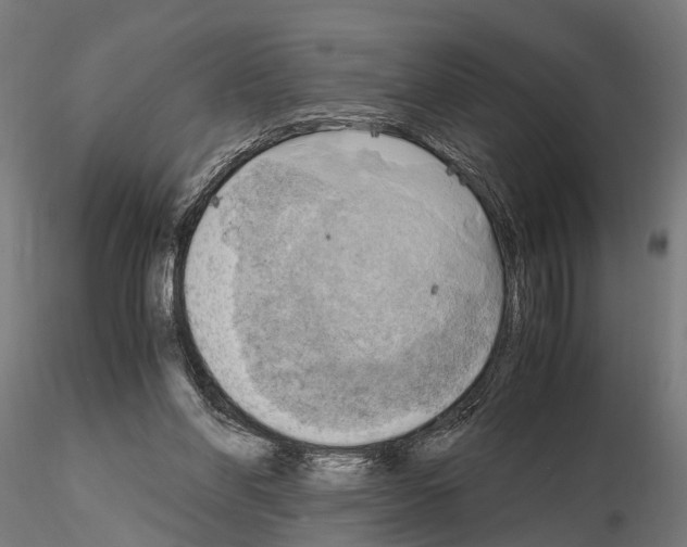 X0000115100206200912081306