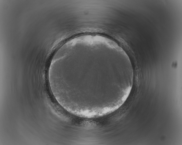 X0000115100207200912081306