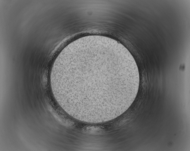 X0000115100208200912081306