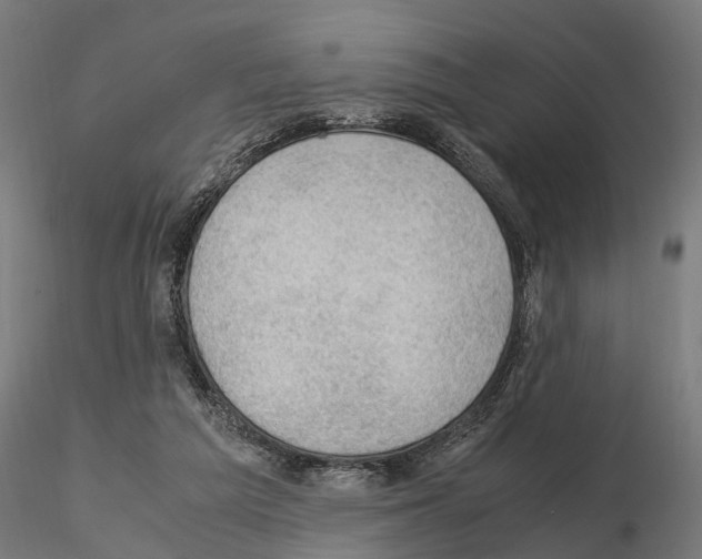 X0000115100209200912081306