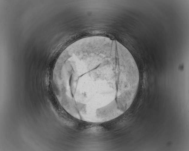 X0000115100210200912081306