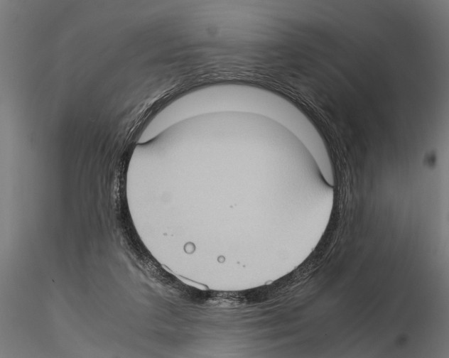 X0000115100211200912081306