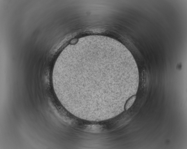 X0000115100212200912081306