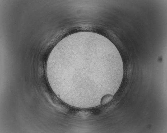 X0000115100213200912081306