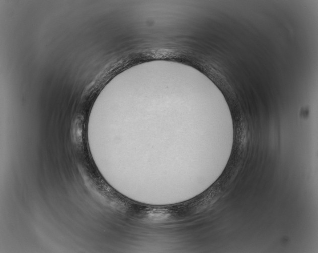 X0000115100214200912081306