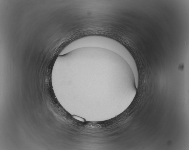 X0000115100215200912081306