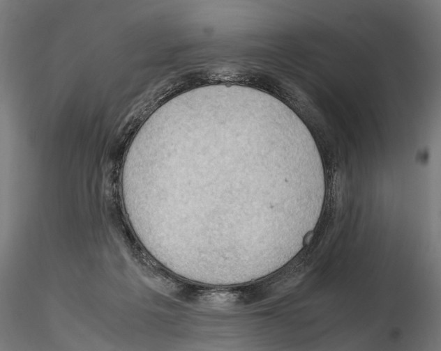 X0000115100217200912081306