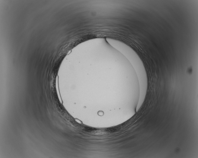 X0000115100219200912081306