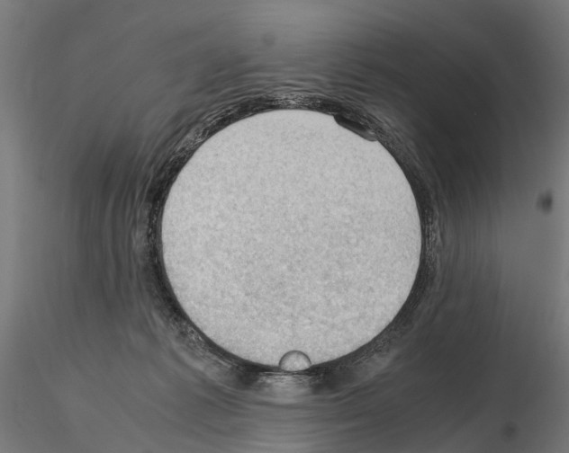 X0000115100221200912081306