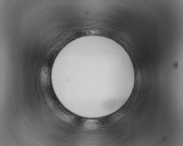 X0000115100222200912081306