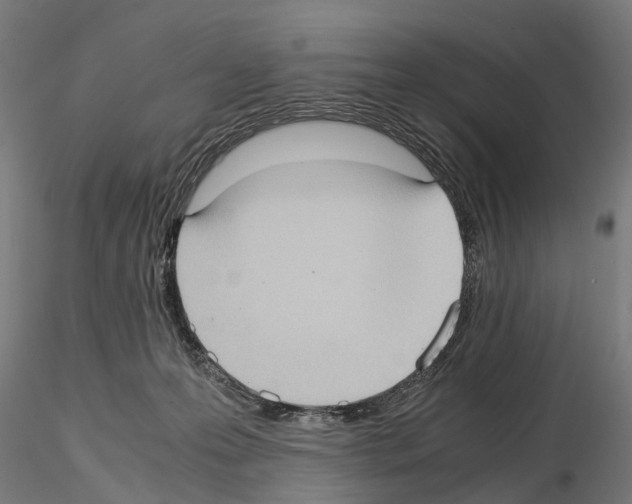 X0000115100223200912081306