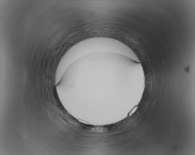 X0000115100225200912081306