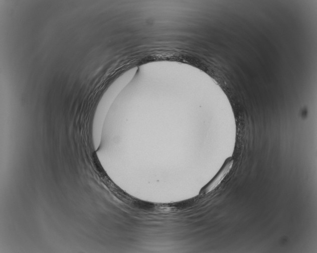 X0000115100227200912081306