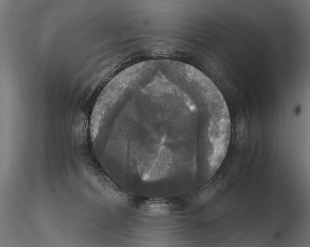 X0000115100228200912081306