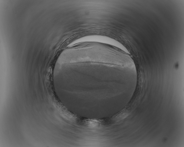 X0000115100229200912081306