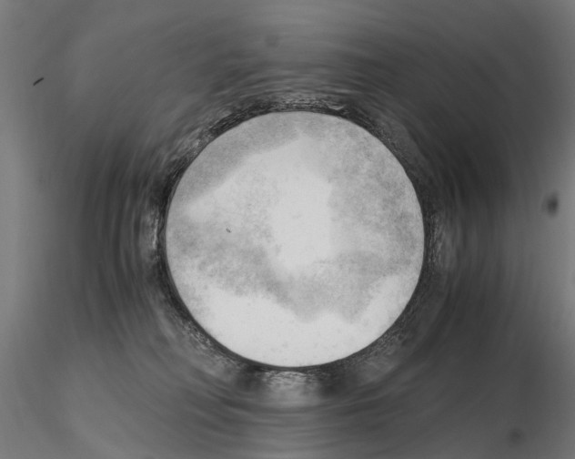 X0000115100230200912081306