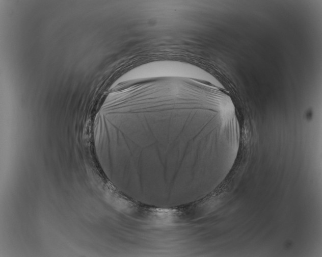 X0000115100233200912081306