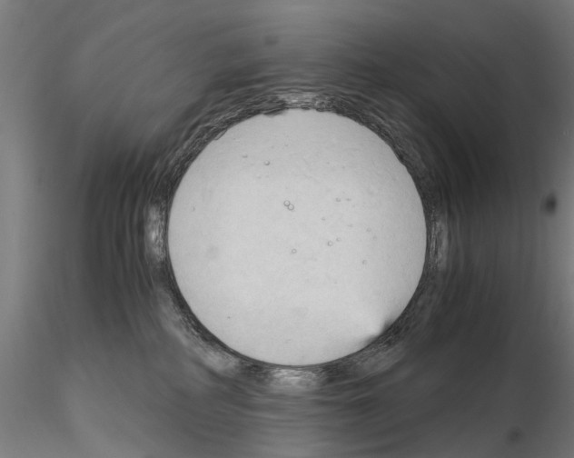 X0000115100234200912081306