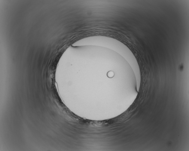 X0000115100235200912081306