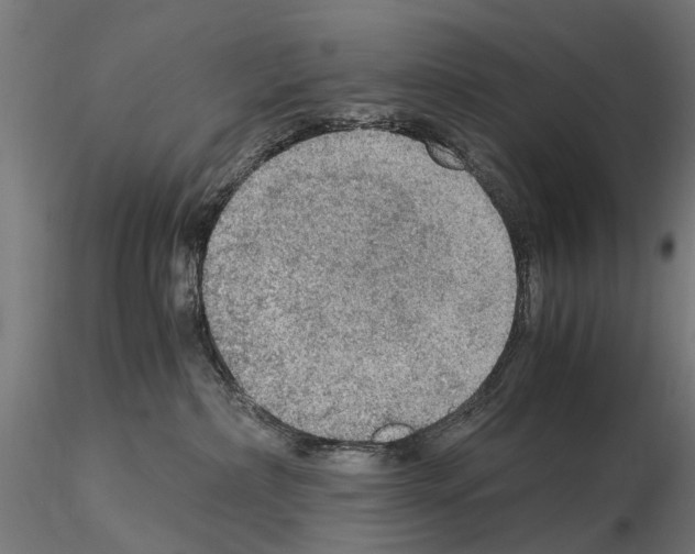 X0000115100236200912081306