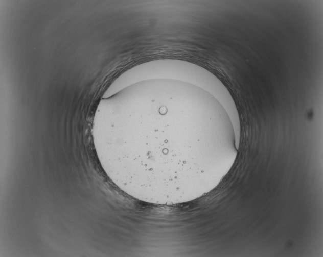 X0000115100237200912081306