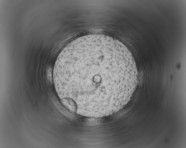 X0000115100238200912081306