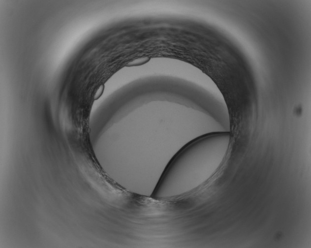 X0000115100239200912081306