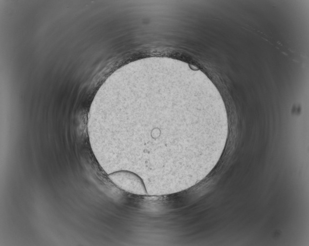 X0000115100240200912081306