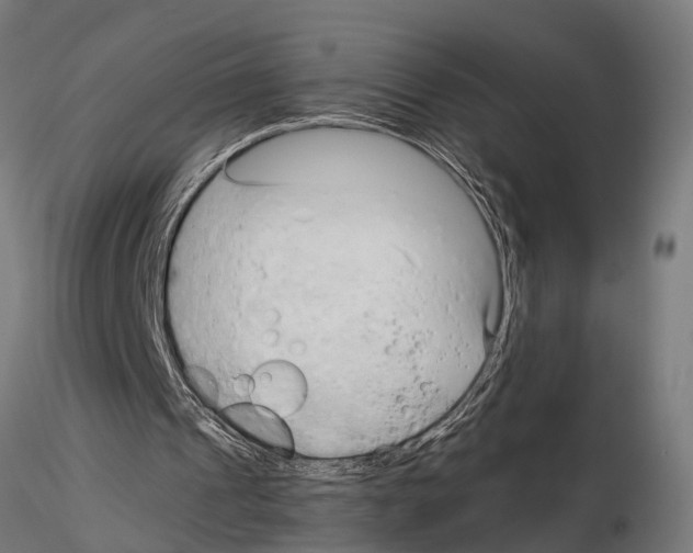 X0000115100241200912081305