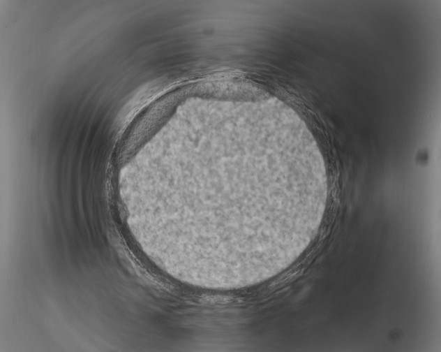 X0000115100242200912081305