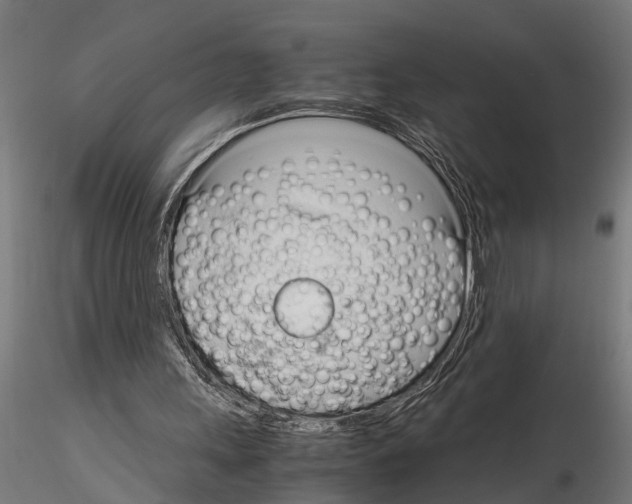 X0000115100243200912081305