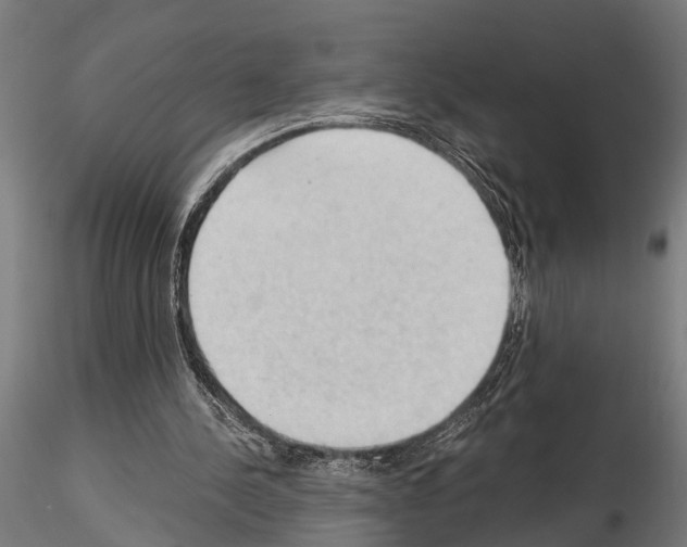 X0000115100244200912081305