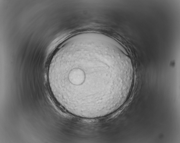 X0000115100245200912081305