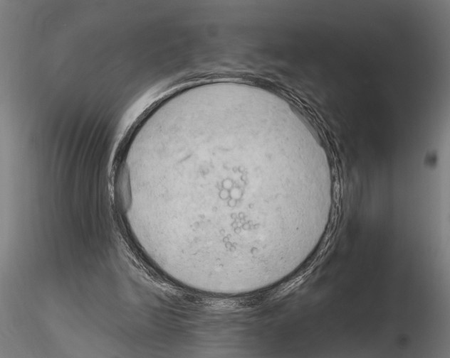 X0000115100246200912081305