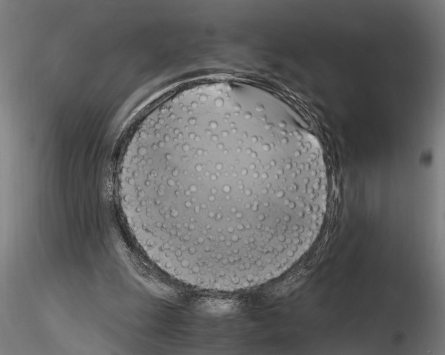 X0000115100247200912081305