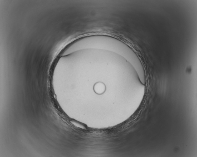 X0000115100248200912081305