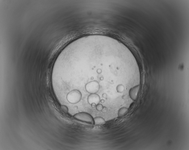 X0000115100250200912081305