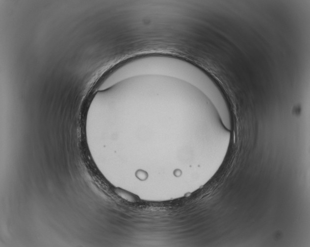 X0000115100252200912081305